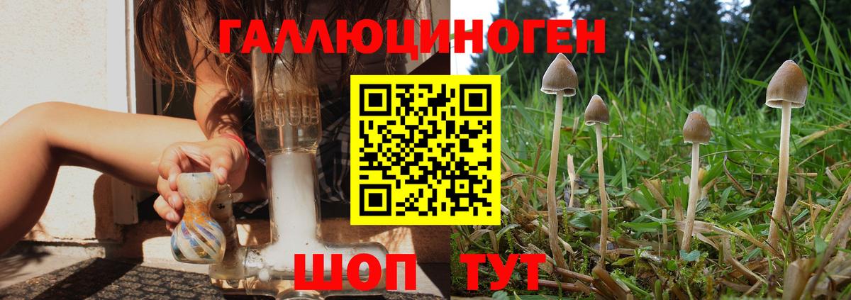 Кызыл  купить закладку  Вход с VPN  Псилоцибиновые грибы мицелий 