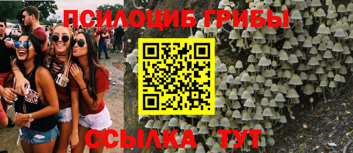 Галлюциногенные грибы прущие грибы Кызыл